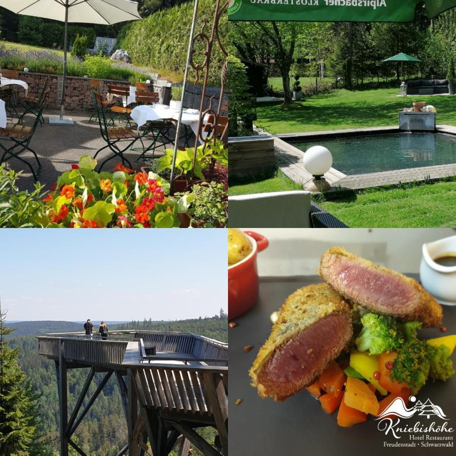 Hotel Restaurant Kniebishoehe Фройденштадт Экстерьер фото